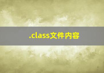 .class文件内容