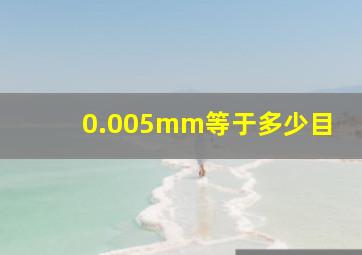 0.005mm等于多少目