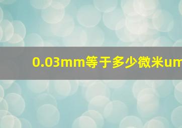 0.03mm等于多少微米um