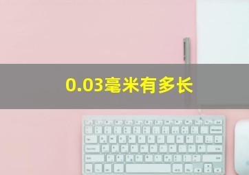 0.03毫米有多长