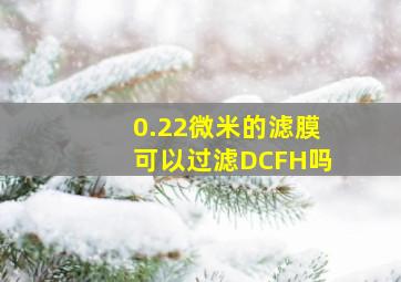 0.22微米的滤膜可以过滤DCFH吗