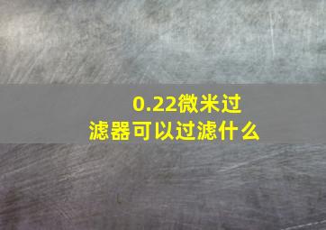 0.22微米过滤器可以过滤什么