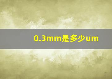 0.3mm是多少um