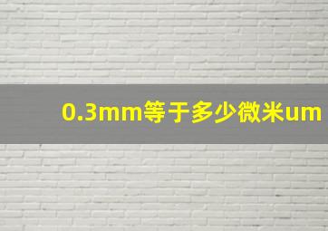 0.3mm等于多少微米um