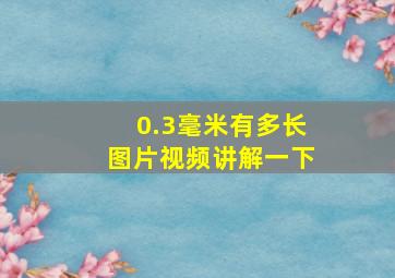 0.3毫米有多长图片视频讲解一下