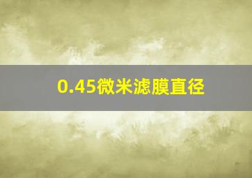 0.45微米滤膜直径