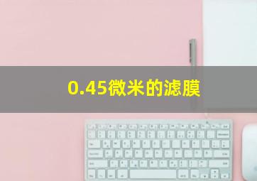 0.45微米的滤膜