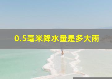 0.5毫米降水量是多大雨