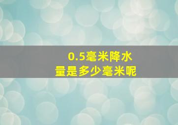 0.5毫米降水量是多少毫米呢