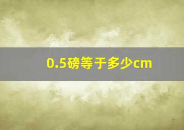 0.5磅等于多少cm