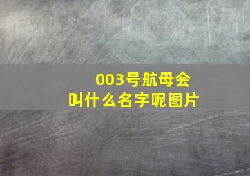 003号航母会叫什么名字呢图片