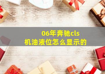 06年奔驰cls机油液位怎么显示的