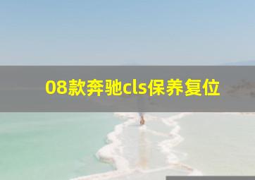 08款奔驰cls保养复位