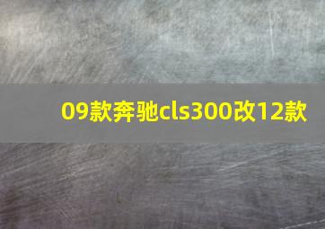 09款奔驰cls300改12款