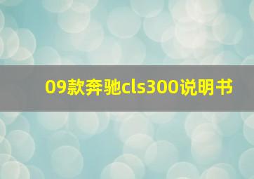 09款奔驰cls300说明书