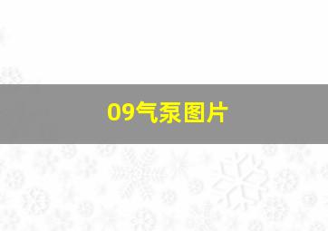 09气泵图片