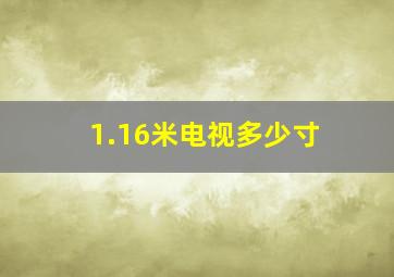 1.16米电视多少寸