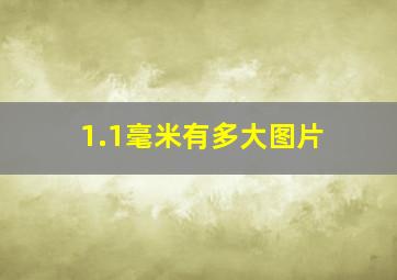 1.1毫米有多大图片