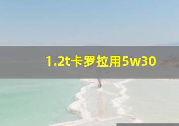 1.2t卡罗拉用5w30