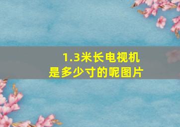 1.3米长电视机是多少寸的呢图片