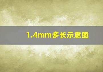 1.4mm多长示意图