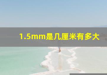 1.5mm是几厘米有多大