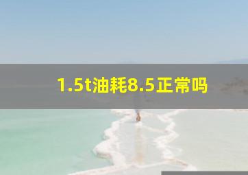 1.5t油耗8.5正常吗