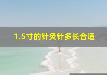 1.5寸的针灸针多长合适