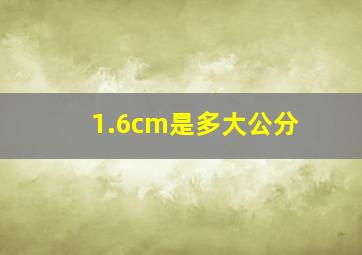 1.6cm是多大公分