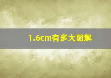 1.6cm有多大图解