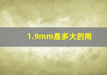 1.9mm是多大的雨