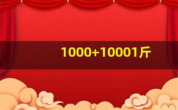 1000+10001斤