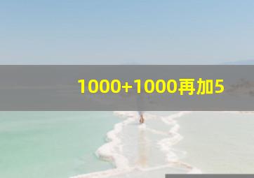 1000+1000再加5