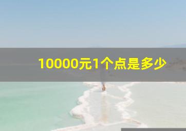 10000元1个点是多少