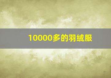 10000多的羽绒服