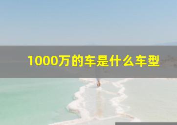 1000万的车是什么车型