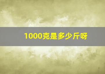 1000克是多少斤呀