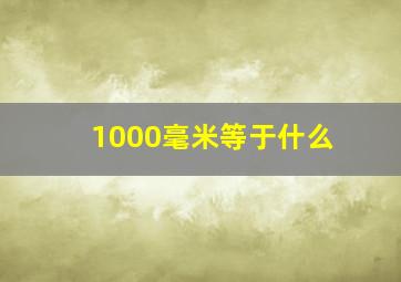 1000毫米等于什么