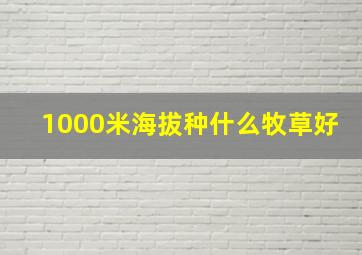 1000米海拔种什么牧草好