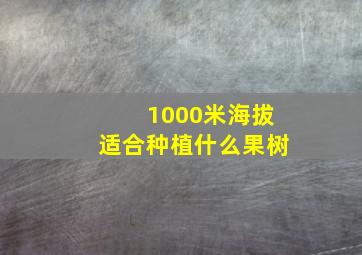 1000米海拔适合种植什么果树