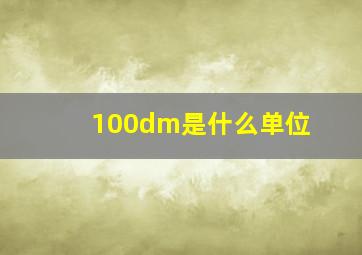 100dm是什么单位