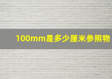 100mm是多少厘米参照物