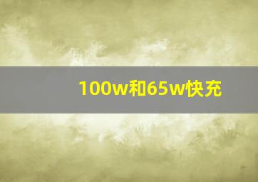 100w和65w快充