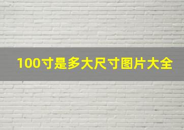 100寸是多大尺寸图片大全