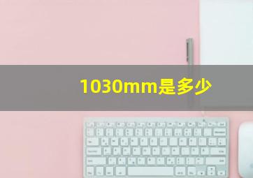 1030mm是多少