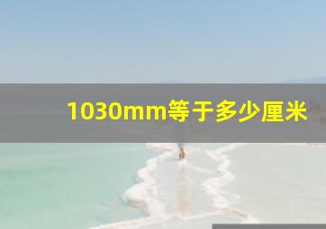 1030mm等于多少厘米