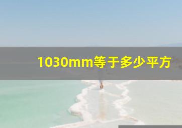 1030mm等于多少平方