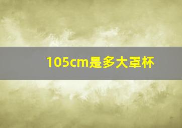 105cm是多大罩杯