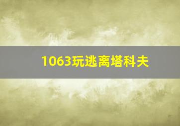 1063玩逃离塔科夫