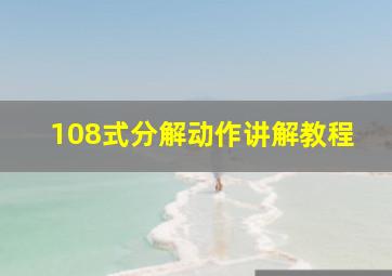 108式分解动作讲解教程